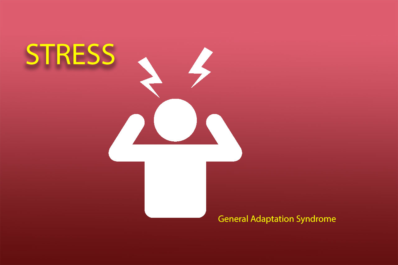 Stress General Adaptation Syndrome Atyutka Health