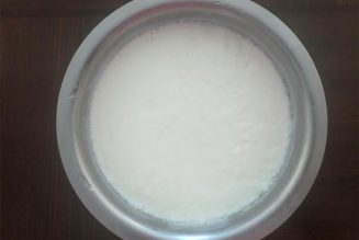 Healthy home made Curd