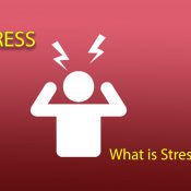 Stress – What is Stress