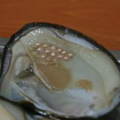 Pearl – What is it?