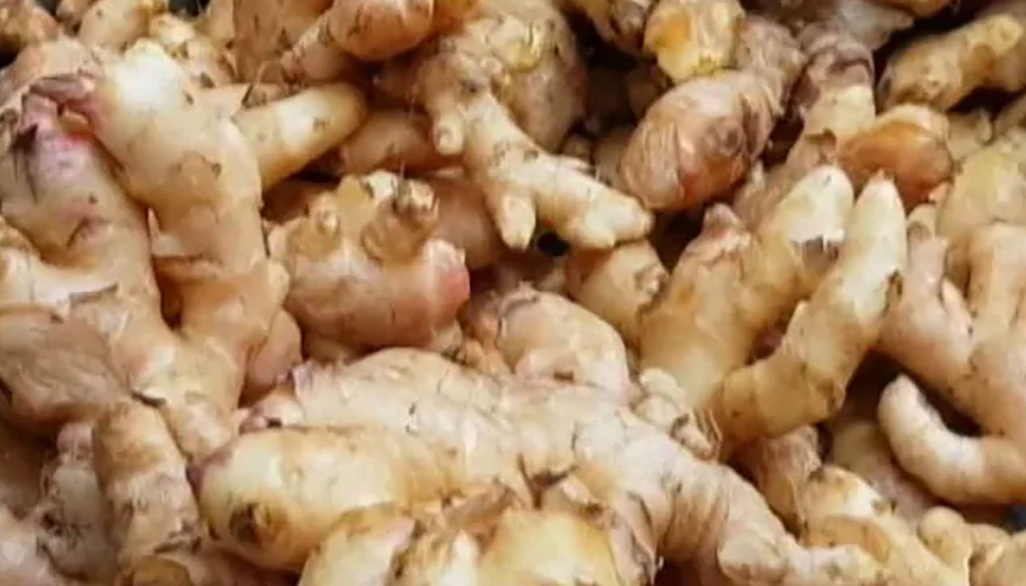 Medicinal Values of Ginger - Atyutka Food