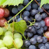 Grapes And Health