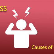 Stress – The Causes Of Stress